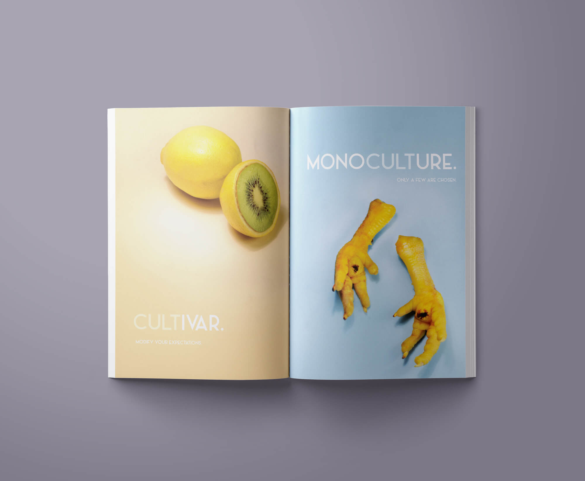 riette-error-just-sunday-food-kult-spread-02