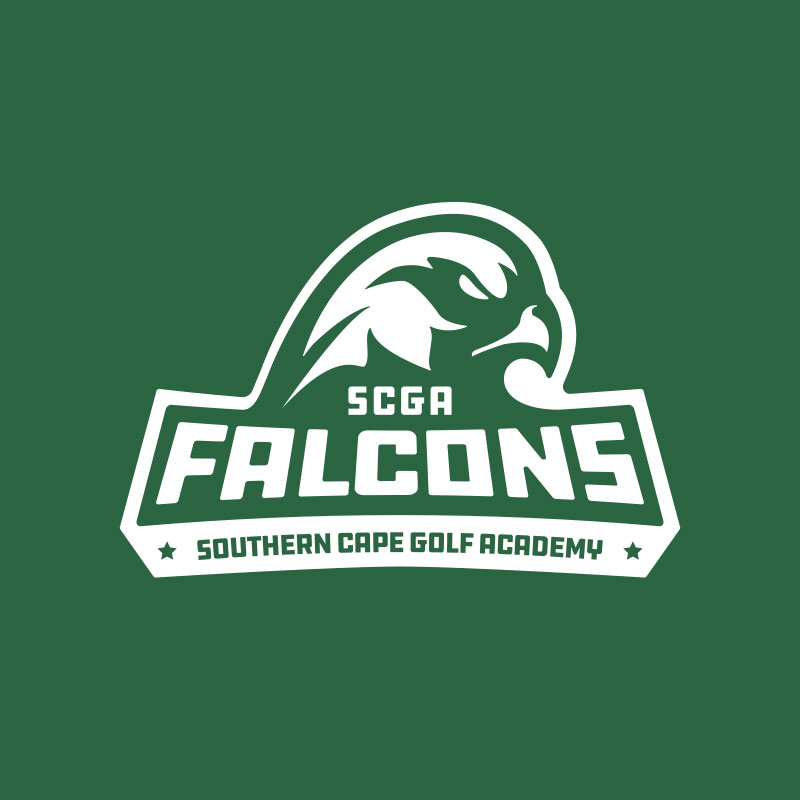 falcons logo design